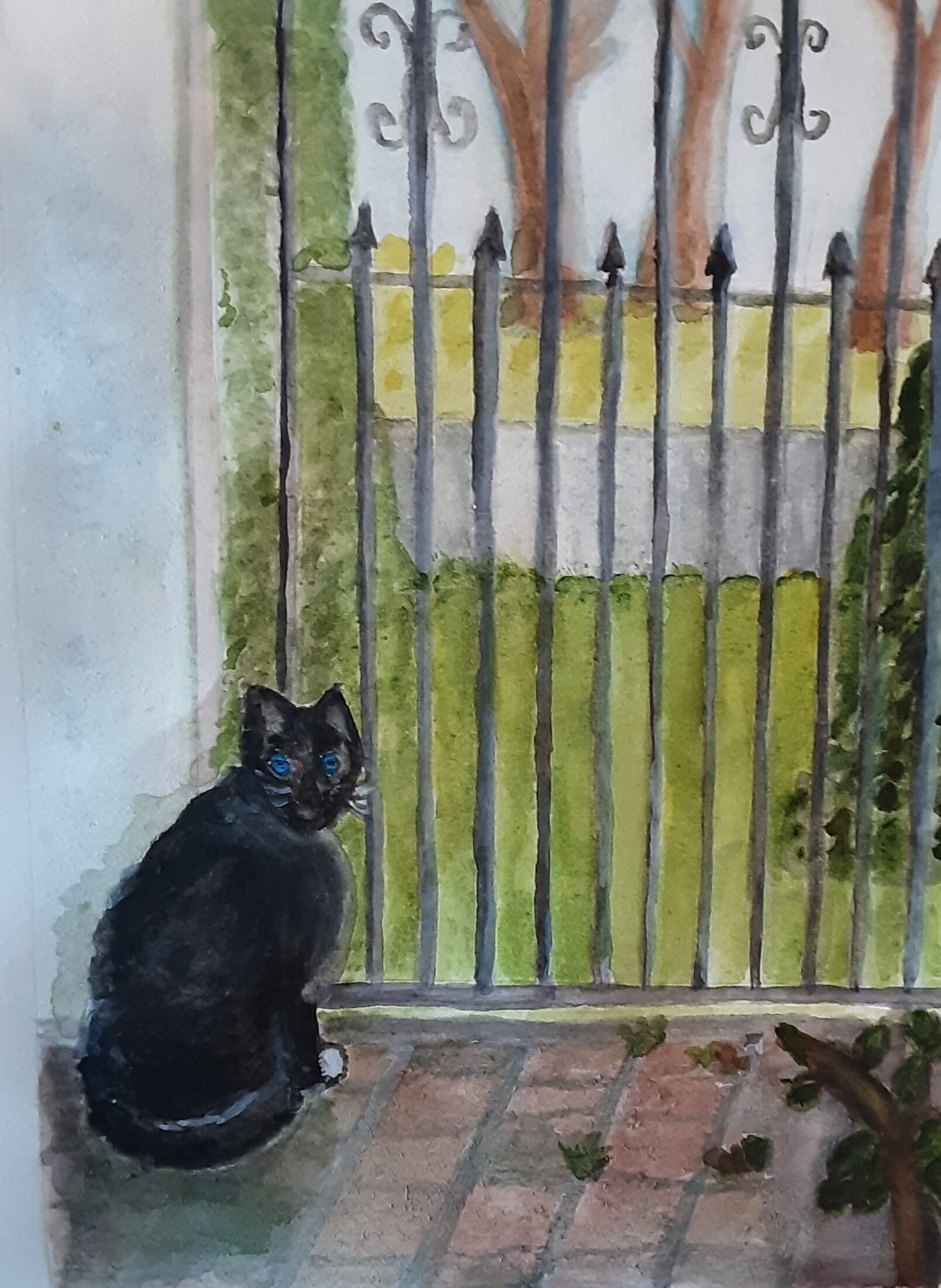             The Kitty Chronicle
